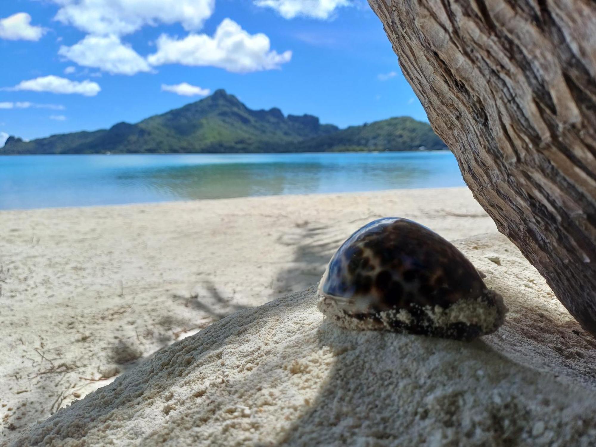 Poemanahere Island Camping A Maupiti Te-Fare-Arii Kültér fotó