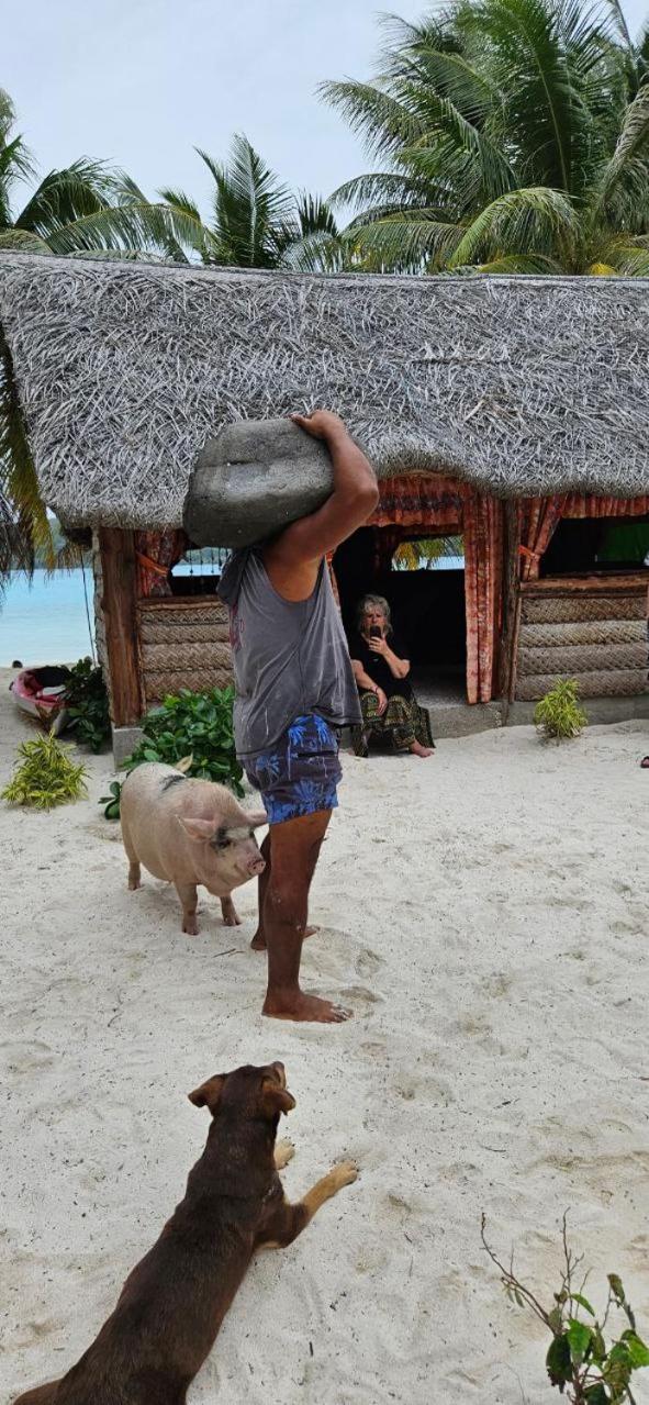 Poemanahere Island Camping A Maupiti Te-Fare-Arii Kültér fotó